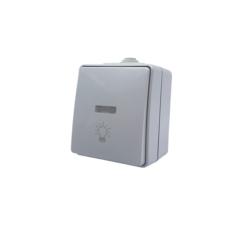 1000432006 ARMY 1-клавишна бутонна ключка с LED лампа (символ за светлина), IP55, 10A 250V AC, светло сива - Image 1